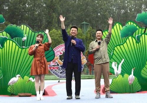 夏威夷机场爆料视频最新,最新爆料视频揭秘！