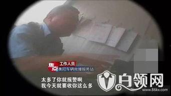 重庆朱先生最新爆料事件,揭秘事件背后惊人真相